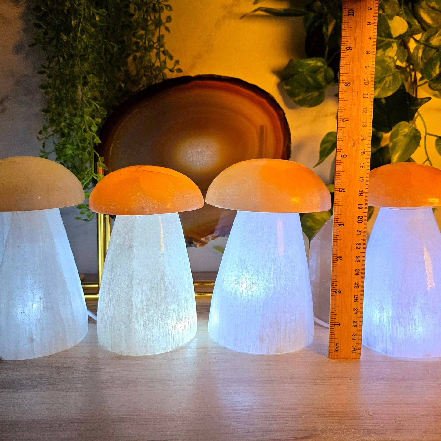 Selenite Crystal Mushroom Lamp